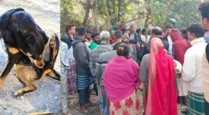 খাসির মাংসের নামে ‘কুকুরের মাংস’ বিক্রির অভিযোগ নওগাঁয়